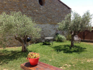 Le gîte - Les oliviers
